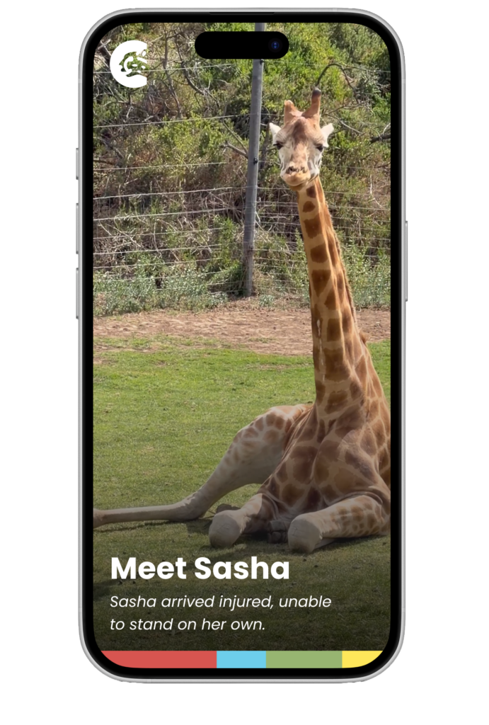 rehabilitation video iphone mockup